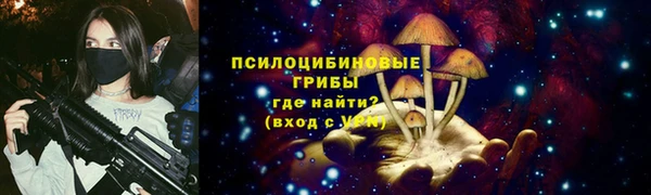 PSILOCYBIN Надым
