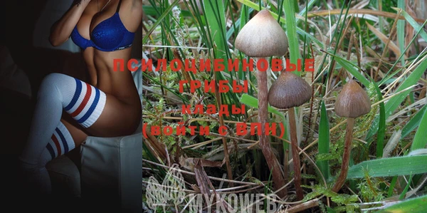 PSILOCYBIN Надым