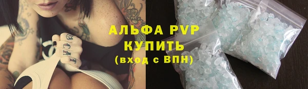 PSILOCYBIN Надым