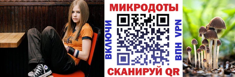 Псилоцибиновые грибы MAGIC MUSHROOMS мега ССЫЛКА Безенчук